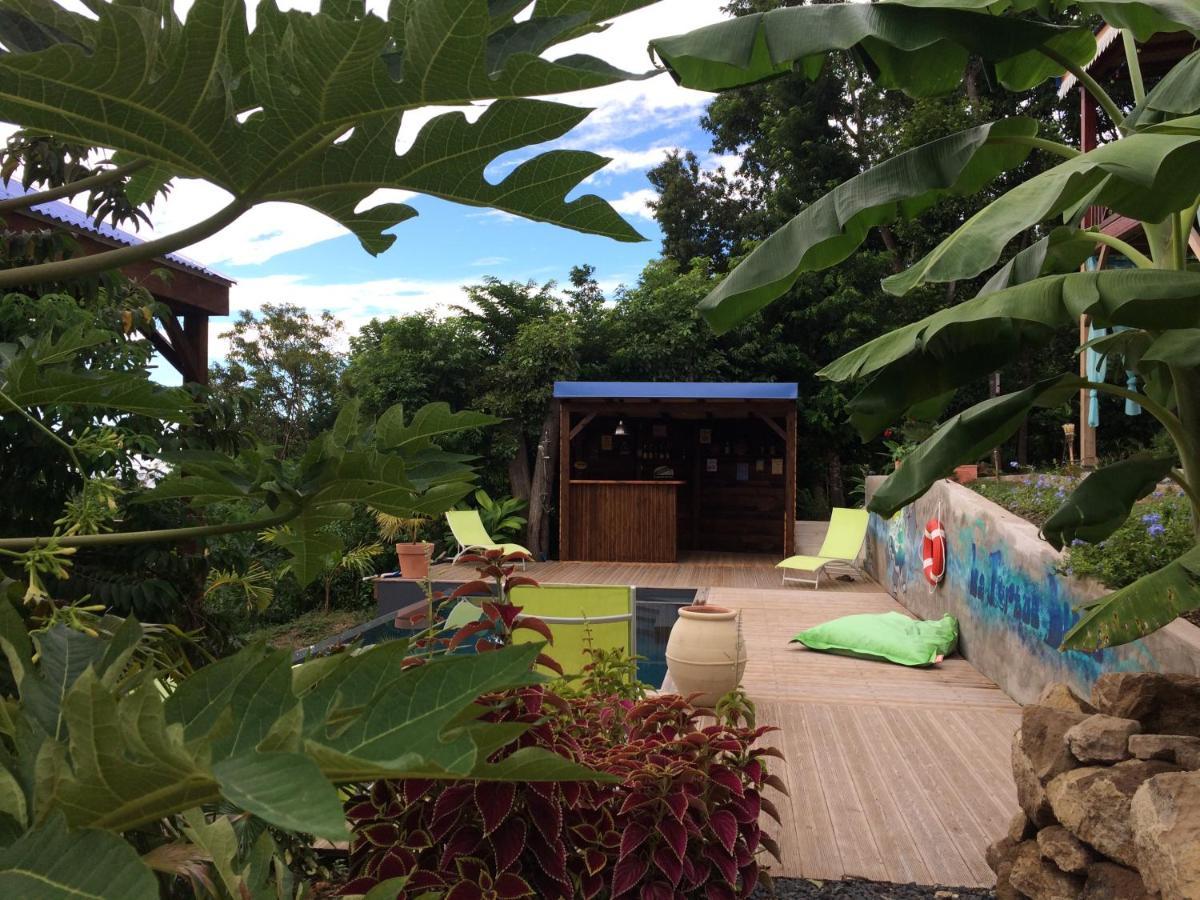 Bungalow La Tortue Bleue 波尔兰特 外观 照片